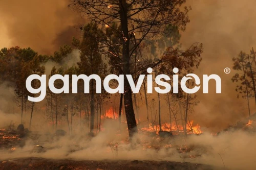 Siete muertos por incendios forestales en Portugal