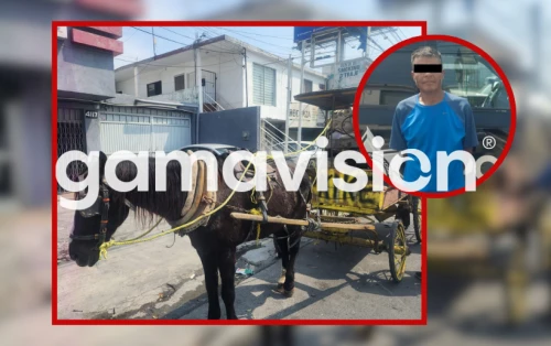Detienen a hombre tras ser sorprendido golpeando a su caballo en Monterrey