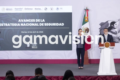 Presentan avances de la estrategia de seguridad en México